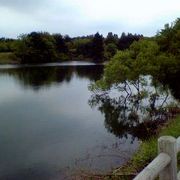 野木和公園の敷地の大部分を占める湖なんですよ