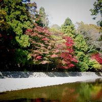 伊勢神宮内宮(皇大神宮)