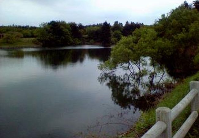 野木和公園の敷地の大部分を占める湖なんですよ