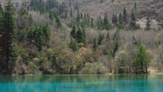 九寨溝の中で一番の見所！