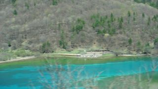 パンダの好物！