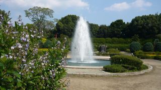 広々とした緑の空間