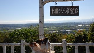 週末はカフェに