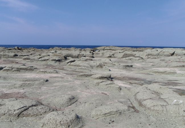 穏やかな海でした
