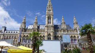 夏はフィルムフェステバルが行われます