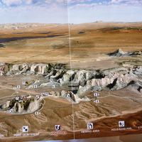 広大な敷地内ではトレッキングが楽しめます