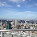 東京タワーとスカイツリー両方が同時に見ることができます