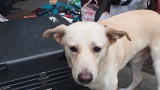 近くの中古品専売街が面白い。