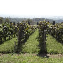 近くの登美の丘