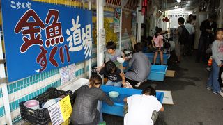 住宅地の真ん中に 金魚すくい道場の看板 By たびたび こちくやのクチコミ フォートラベル