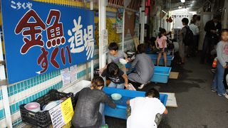 住宅地の真ん中に、金魚すくい道場の看板