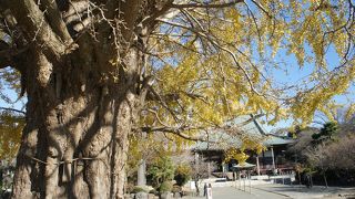 正式名称は清浄光寺。一遍の開いた時宗の総本山