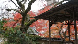 太閤秀吉がここで茶会を開いたこともあるようで