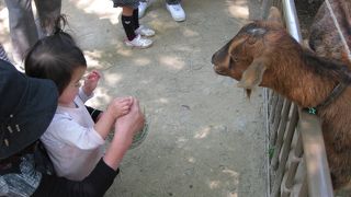 一日ゆっくり遊べます！