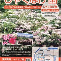 ここへ行きたくて、ここに泊まりました。