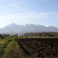 ペンション　メリーポピンズ 写真