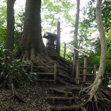 物寂しい感じが