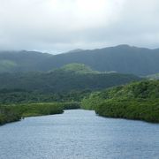 河口からの眺めが最高