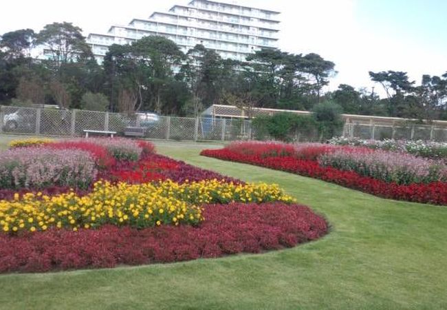 千葉市花の美術館 クチコミ アクセス 営業時間 幕張 フォートラベル