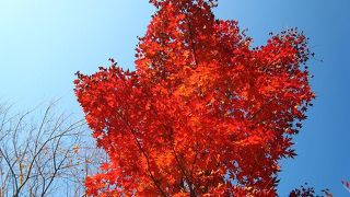 峰山途中ヶ丘公園「京丹後はごろも陸上競技場」