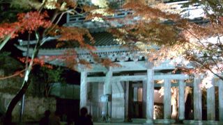 夜間ライトアップが見事な紅葉の名所