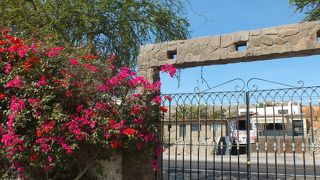 ナスカ地上絵に関する展示が