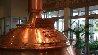 これを飲まないと・・・