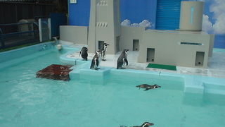 気軽に楽しめます