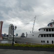 神戸ポートタワーとコンチェルト号