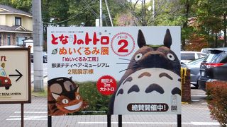もしかしたらトトロ目当てかも？
