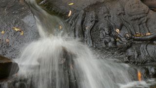 悠久の時を感じて