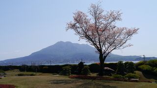 けっこう広いです！