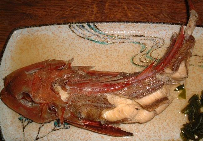 伊予灘の新鮮な魚介