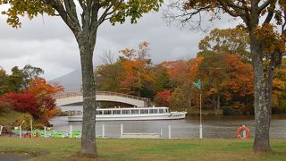 紅葉真っ盛り・・・・・・・・！