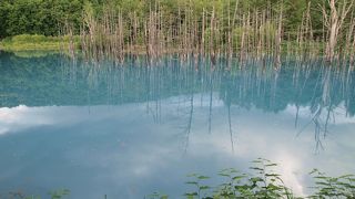 不思議な青い色