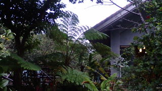 ピザが美味しい山カフェ