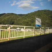 田んぼが見える駅