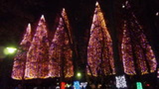 光の祭典は必見です。