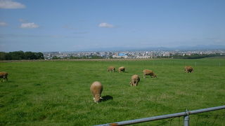 壮大！都会との融合。