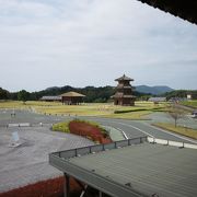 広い芝生の公園です