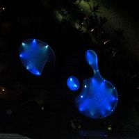 夜のプール。真ん中一個熱いｗ