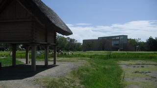 弥生時代のムラ