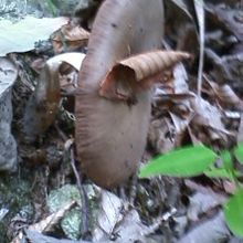 しまった！曲がちゃッた