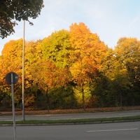 ホテル玄関からの紅葉