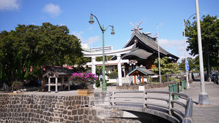 植物園に行く途中