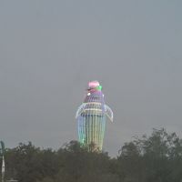 イルカの像のネオンサインです。何パターンもあります。