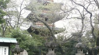 上野東照宮からフェンス越しに見える