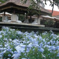 あの席に座りたい・・・