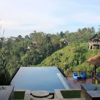 ロビー棟からのプールの眺め。