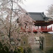 桜がきれいなお寺です。